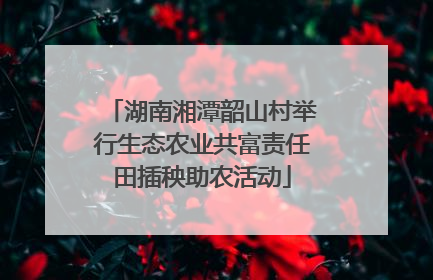 湖南湘潭韶山村举行生态农业共富责任田插秧助农活动