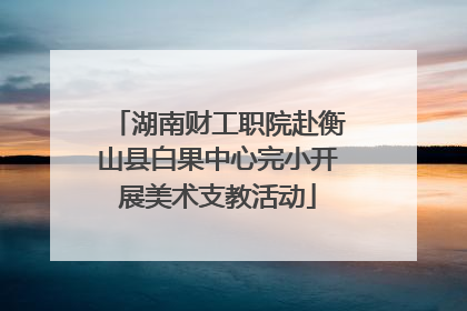 湖南财工职院赴衡山县白果中心完小开展美术支教活动