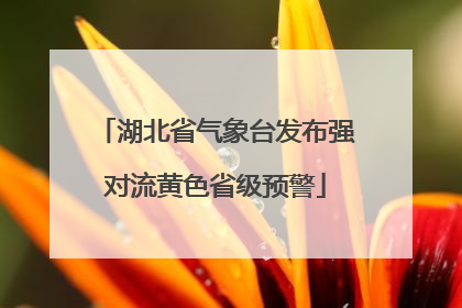 湖北省气象台发布强对流黄色省级预警
