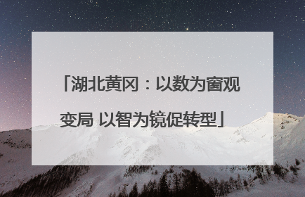 湖北黄冈：以数为窗观变局 以智为镜促转型