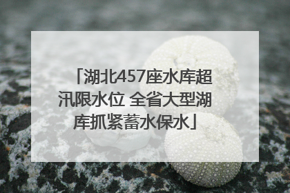 湖北457座水库超汛限水位 全省大型湖库抓紧蓄水保水