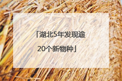 湖北5年发现逾20个新物种