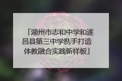 湖州市志和中学和遂昌县第三中学携手打造体教融合实践新样板