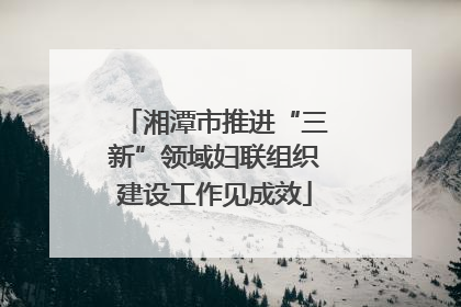 湘潭市推进“三新”领域妇联组织建设工作见成效