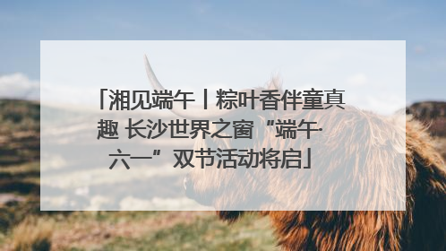 湘见端午丨粽叶香伴童真趣 长沙世界之窗“端午·六一”双节活动将启