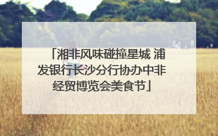 湘非风味碰撞星城 浦发银行长沙分行协办中非经贸博览会美食节
