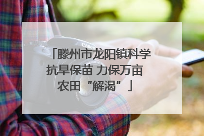 滕州市龙阳镇科学抗旱保苗 力保万亩农田“解渴”