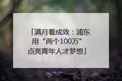 满月看成效：浦东用“两个100万”点亮青年人才梦想
