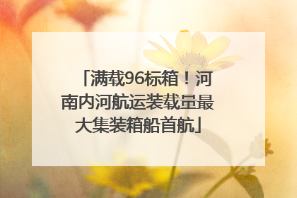 满载96标箱！河南内河航运装载量最大集装箱船首航