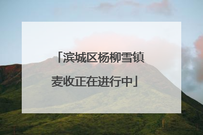 滨城区杨柳雪镇麦收正在进行中