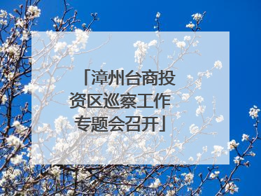 漳州台商投资区巡察工作专题会召开