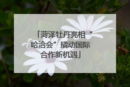 菏泽牡丹亮相“哈洽会”撬动国际合作新机遇