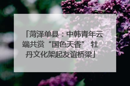 菏泽单县：中韩青年云端共赏“国色天香” 牡丹文化架起友谊桥梁