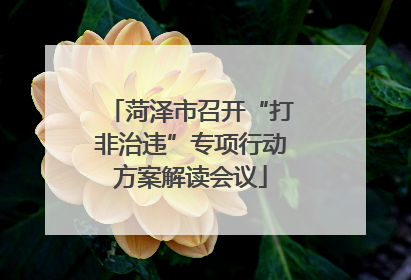 菏泽市召开“打非治违”专项行动方案解读会议
