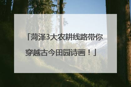 菏泽3大农耕线路带你穿越古今田园诗画！