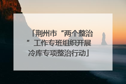 荆州市“两个整治”工作专班组织开展冷库专项整治行动