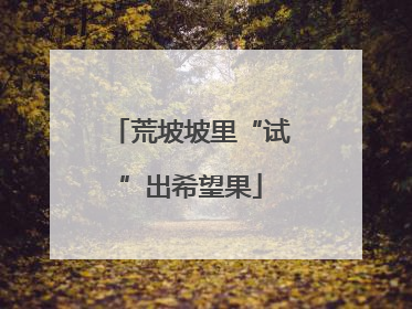 荒坡坡里“试”出希望果