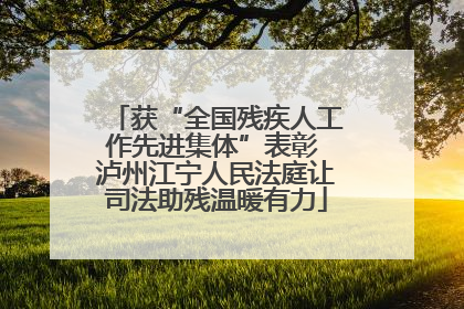 获“全国残疾人工作先进集体”表彰 泸州江宁人民法庭让司法助残温暖有力