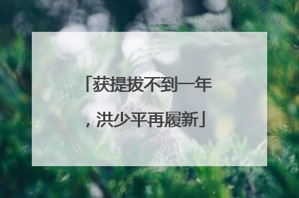 获提拔不到一年，洪少平再履新