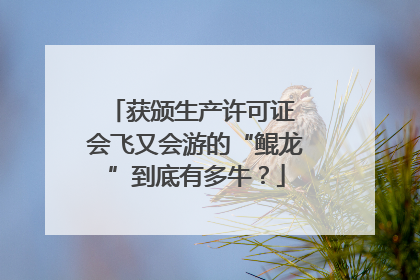 获颁生产许可证 会飞又会游的“鲲龙”到底有多牛？
