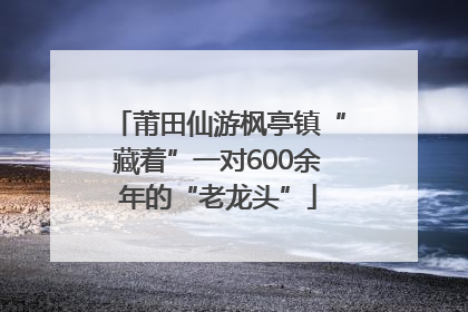 莆田仙游枫亭镇“藏着”一对600余年的“老龙头”