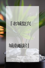 老城复兴 城南崛起