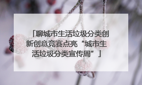 聊城市生活垃圾分类创新创意竞赛点亮“城市生活垃圾分类宣传周”