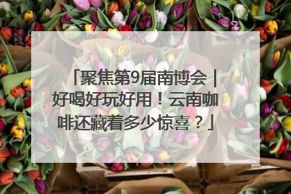 聚焦第9届南博会｜好喝好玩好用！云南咖啡还藏着多少惊喜？
