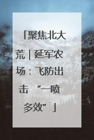 聚焦北大荒｜延军农场：飞防出击 “一喷多效”