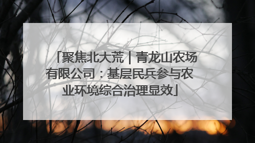 聚焦北大荒｜青龙山农场有限公司：基层民兵参与农业环境综合治理显效