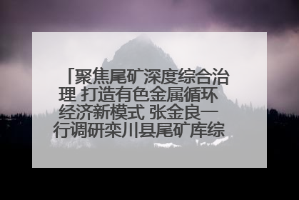 聚焦尾矿深度综合治理 打造有色金属循环经济新模式 张金良一行调研栾川县尾矿库综合治理工作