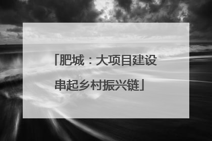 肥城：大项目建设串起乡村振兴链