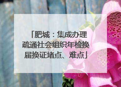 肥城：集成办理 疏通社会组织年检换届换证堵点、难点