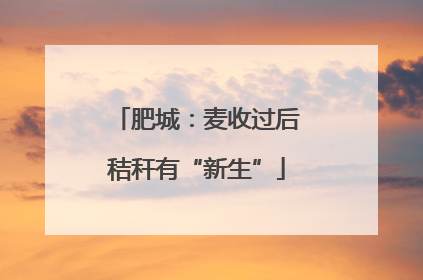 肥城：麦收过后秸秆有“新生”