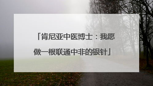 肯尼亚中医博士：我愿做一根联通中非的银针