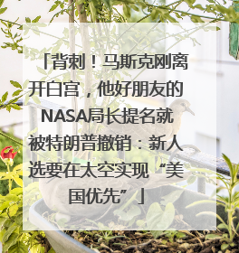 背刺！马斯克刚离开白宫，他好朋友的NASA局长提名就被特朗普撤销：新人选要在太空实现“美国优先”