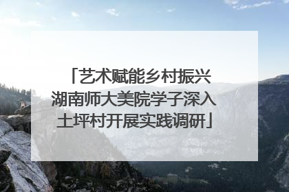 艺术赋能乡村振兴 湖南师大美院学子深入土坪村开展实践调研