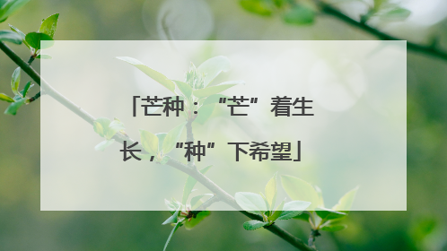 芒种：“芒”着生长，“种”下希望