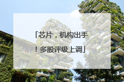 芯片，机构出手！多股评级上调