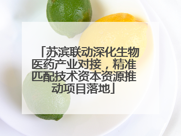 苏滨联动深化生物医药产业对接，精准匹配技术资本资源推动项目落地