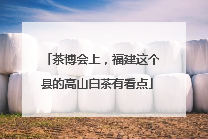 茶博会上，福建这个县的高山白茶有看点