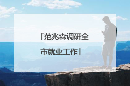 范兆森调研全市就业工作