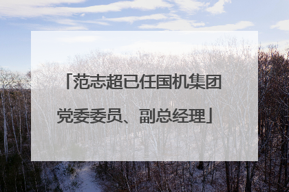 范志超已任国机集团党委委员、副总经理