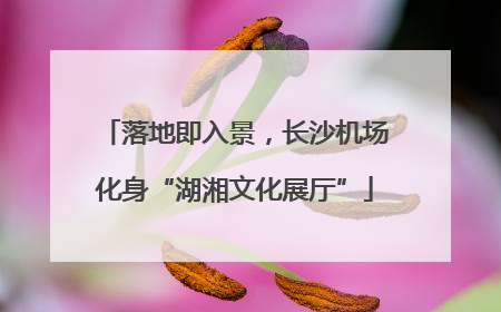 落地即入景，长沙机场化身“湖湘文化展厅”