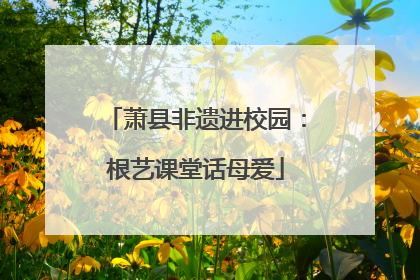 萧县非遗进校园：根艺课堂话母爱