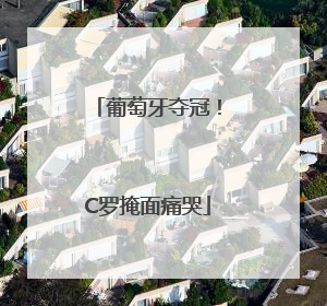 葡萄牙夺冠！C罗掩面痛哭