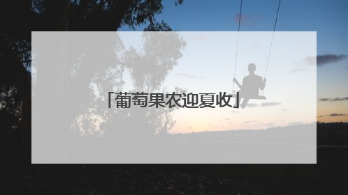 葡萄果农迎夏收