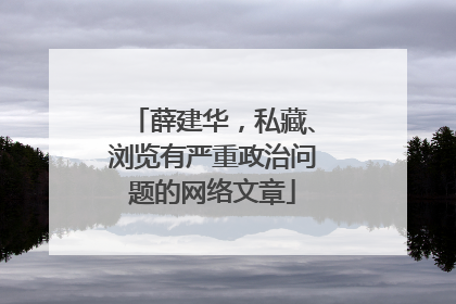 薛建华，私藏、浏览有严重政治问题的网络文章