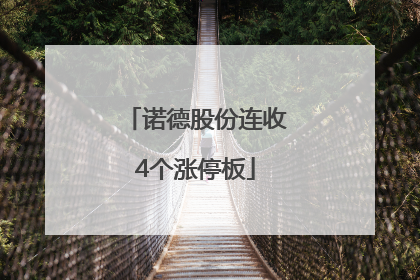 诺德股份连收4个涨停板