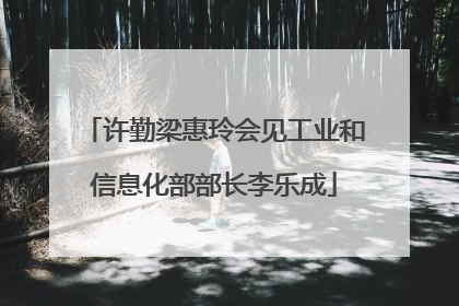 许勤梁惠玲会见工业和信息化部部长李乐成
